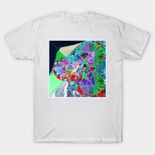 the global mapper collage of hazard in deep city mountain T-Shirt